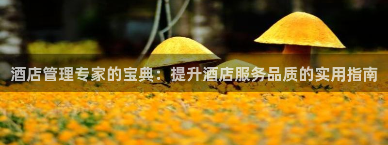 凯发官网入口首页