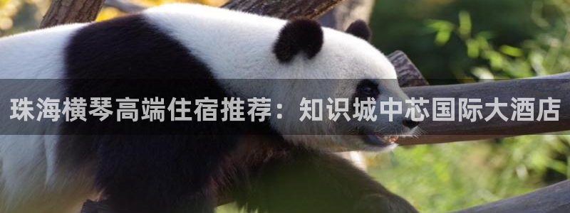 k8凯发